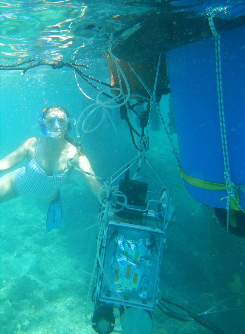 Mallory Ringham hangs onto CHANOS II in the waters off Eilat, Israel, in 2019. Photo: Boaz Lazar